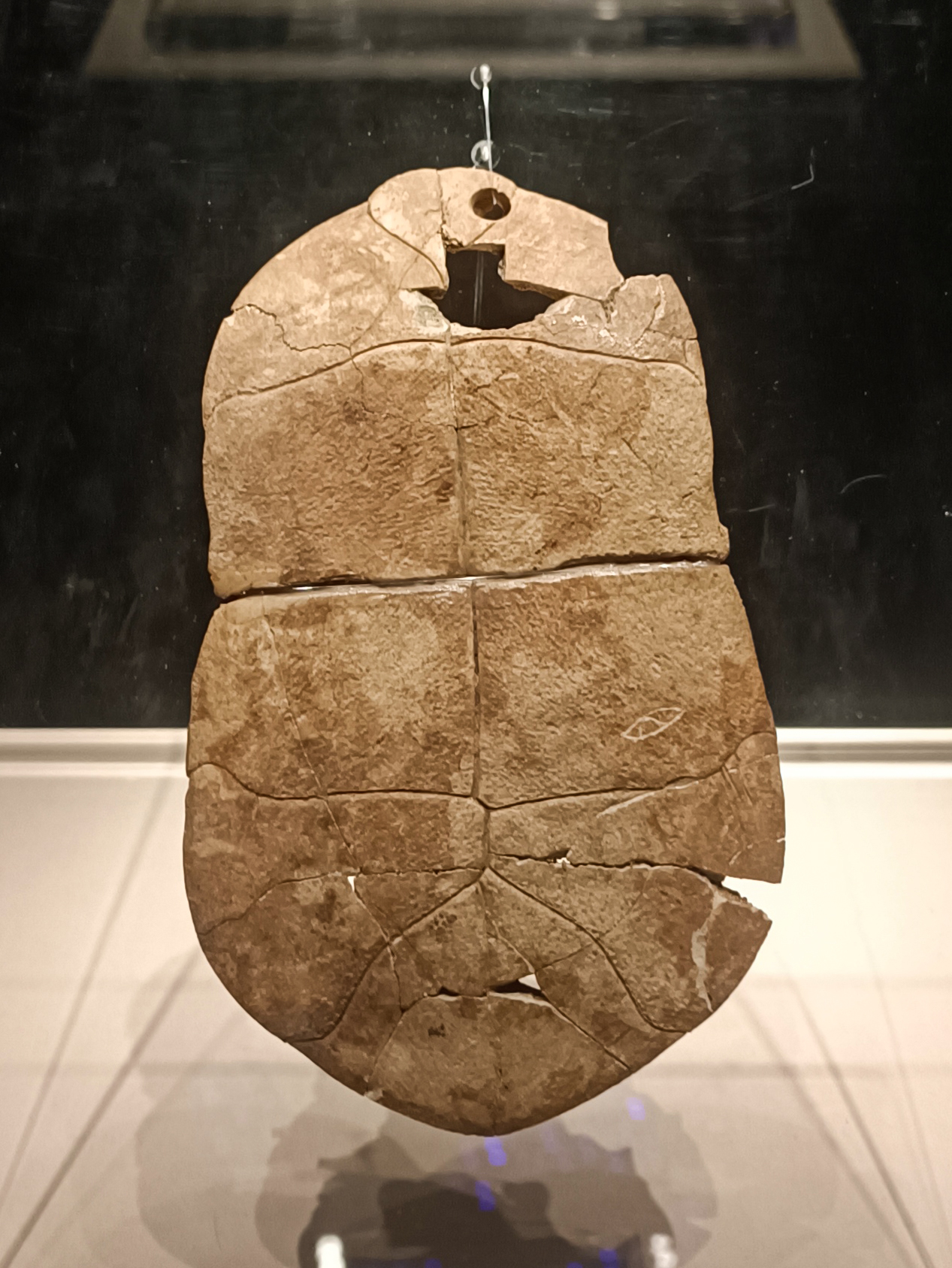 ​刻符龟甲 裴李岗文化（距今约8000-7000年） 河南舞阳贾湖遗址出土 河南博物院藏 刻符龟甲为国家一级文物