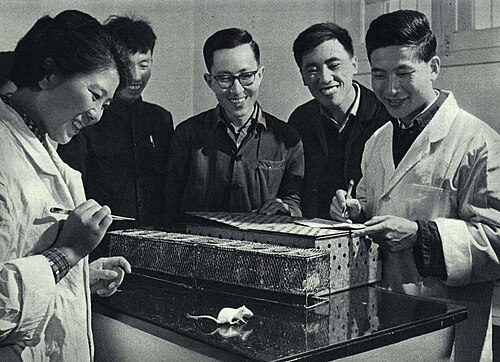 人工合成结晶胰岛素白鼠实验