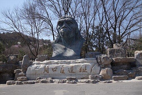 山顶洞人