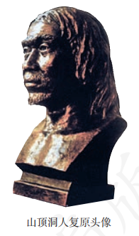 Restored portrait of Upper Cave Man