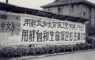 “文化大革命”