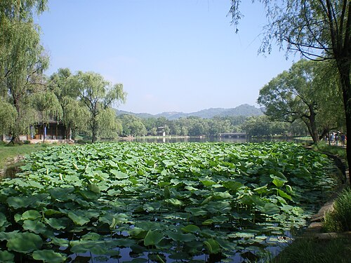 湖洲区