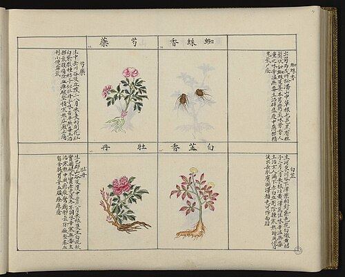 李时珍著《本草纲目》